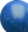 PROIRON Gymnastikball - Robuster Fitnessball mit Luftpumpe