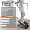 PROIRON Swing Stepper mit Display - Max. 120kg Tragkraft, Geräuschloses Training